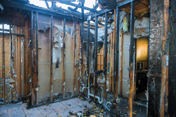 Professional Smoke Damage Removal technician working in North Lewisburg, OH